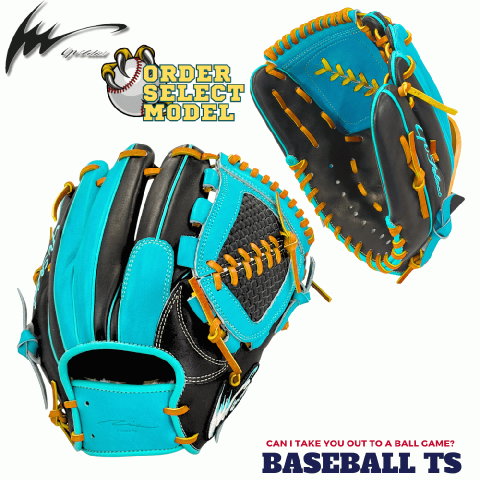 アイピーセレクト 軟式内野手用グラブ オーダーセレクト プログレスRB Ip.053【Ip-G】