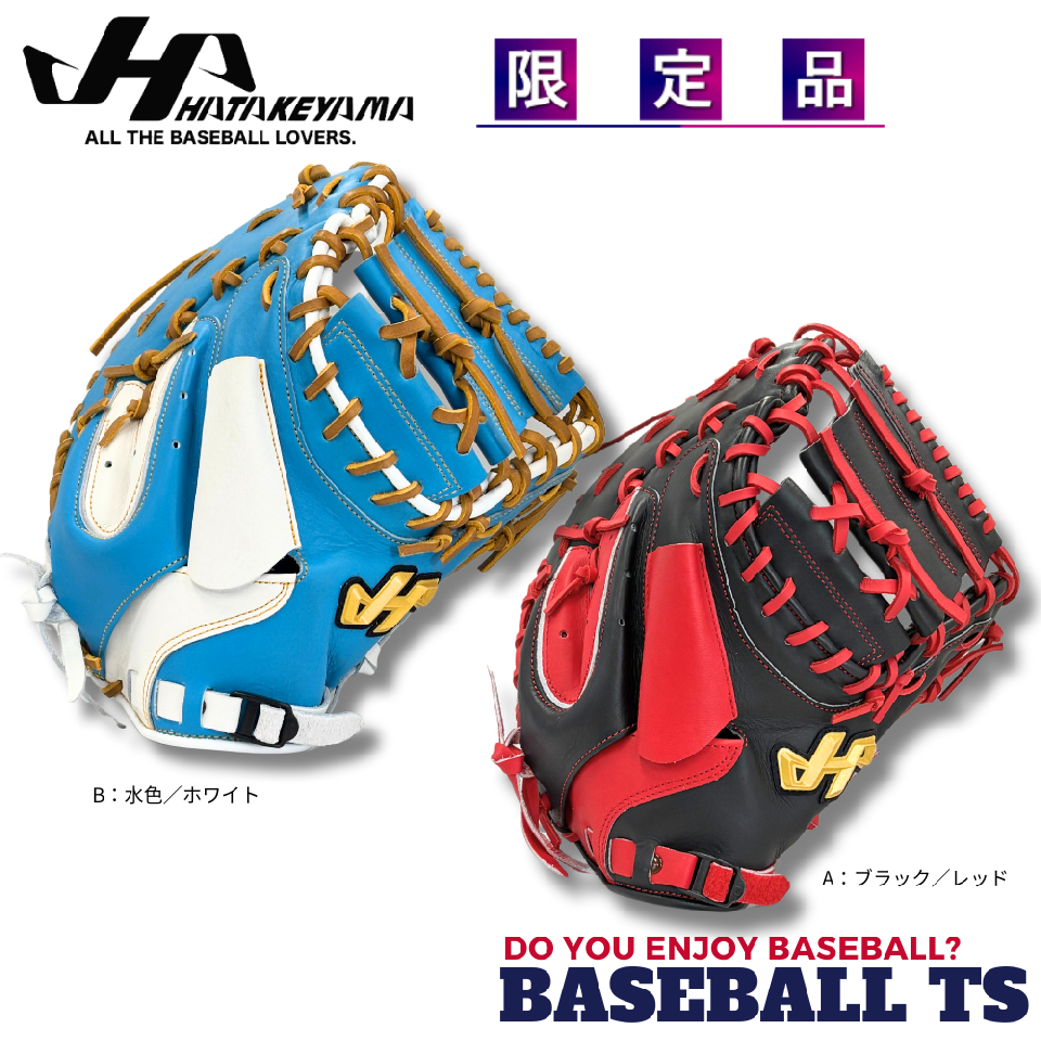 最も  BASEBALL ソフトボール用キャッチャーミット ハタケヤマ / TS バッグ