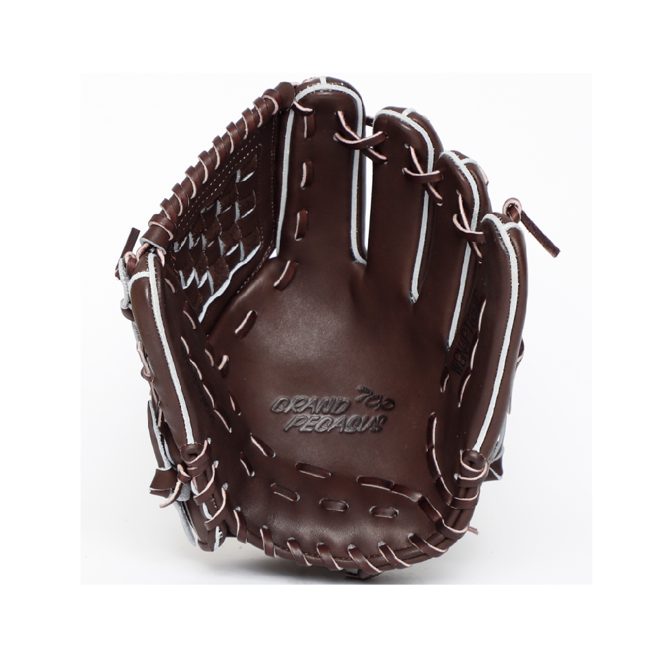 BASEBALL TS / ワールドペガサス軟式硬式兼用グラブ 内野手兼投手用 WGN4PT651P グランドペガサスTOP