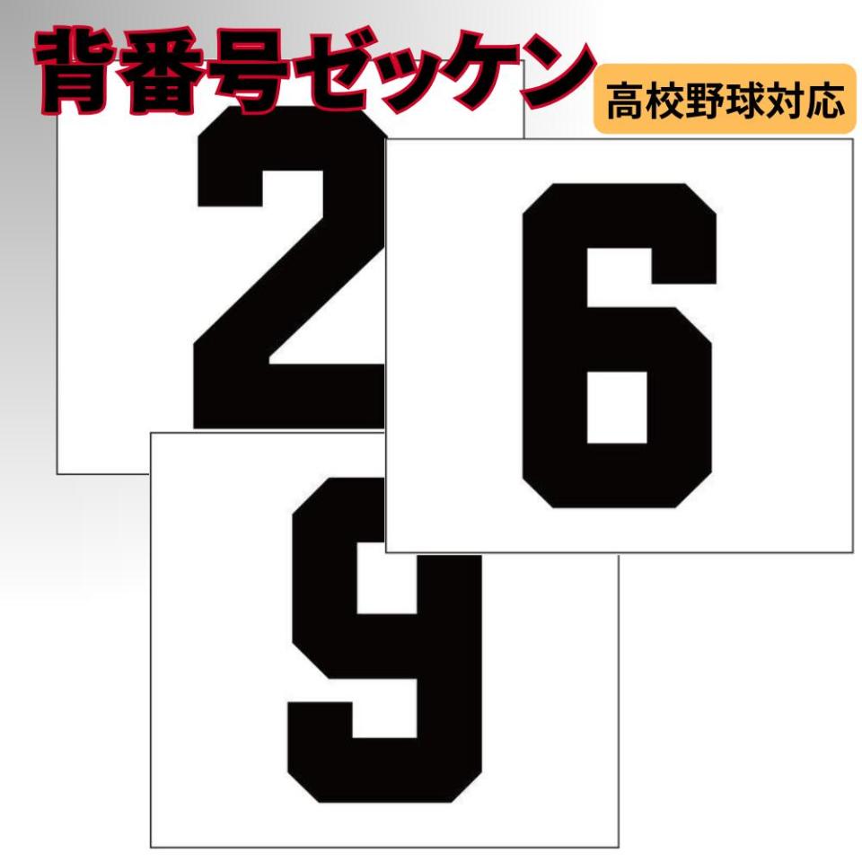 野球 背番号ゼッケン 少年野球 中学野球 高校野球 一般対応 昇華プリント 白地