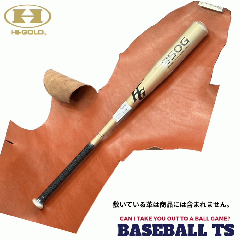 ハイゴールド 硬式金属性トレーニングバット TBT-950G 84cm 950g 練習用バット